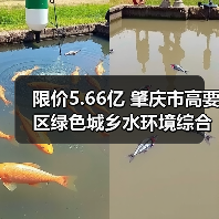 限价5.66亿 肇庆市高要区绿色城乡水环境综合利用工程（勘察设计施工总承包）招标公告（图1）