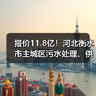 报价11.8亿！河北衡水市主城区污水处理、供水特许经营项目开标！（图4）