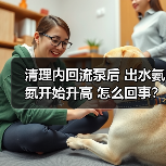 清理内回流泵后 出水氨氮开始升高 怎么回事?(图4) 清理内回流泵后 出水氨氮开始升高 怎么回事?(图4)