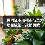 民间资本如何参与重大项目建设?政策解读(图2) 民间资本如何参与重大项目建设?政策解读(图2)