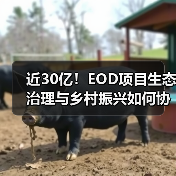 近30亿!EOD项目生态治理与乡村振兴如何协同发展?(图1) 近30亿!EOD项目生态治理与乡村振兴如何协同发展?(图1)