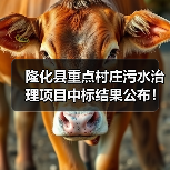 隆化县重点村庄污水治理项目中标结果公布！建设规模曝光（图2）