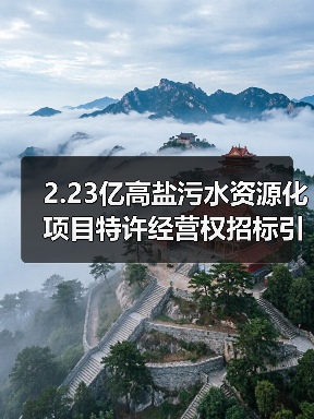 2.23亿高盐污水资源化项目特许经营权招标引关注（图4）