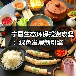 宁夏生态环保投资攻坚:绿色发展新引擎(图2) 宁夏生态环保投资攻坚:绿色发展新引擎(图2)
