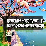 废弃塑料如何治理?我国污染防治新策略解析(图3) 废弃塑料如何治理?我国污染防治新策略解析(图3)