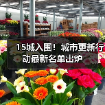 15城入围！城市更新行动最新名单出炉（图1）