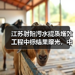 江苏射阳污水提质增效工程中标结果曝光，中标价达2.6亿（图1）