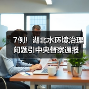 7例！湖北水环境治理问题引中央督察通报（图2）