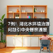 7例！湖北水环境治理问题引中央督察通报（图4）