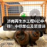 济南再生水工程6亿中标!中标单位及项目详情曝光(图3) 济南再生水工程6亿中标!中标单位及项目详情曝光(图3)