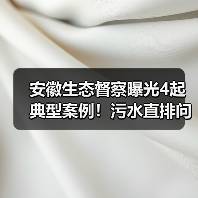 安徽生态督察曝光4起典型案例!污水直排问题引关注(图4) 安徽生态督察曝光4起典型案例!污水直排问题引关注(图4)