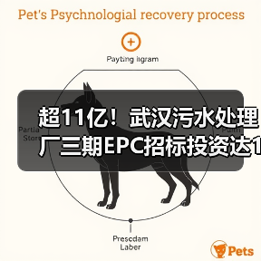 超11亿!武汉污水处理厂三期EPC招标投资达11亿元(图1) 超11亿!武汉污水处理厂三期EPC招标投资达11亿元(图1)