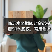 临沂水务拟转让金诺投资51%股权,背后财务真相引关注(图3) 临沂水务拟转让金诺投资51%股权,背后财务真相引关注(图3)
