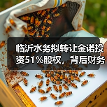 临沂水务拟转让金诺投资51%股权,背后财务真相引关注(图4) 临沂水务拟转让金诺投资51%股权,背后财务真相引关注(图4)