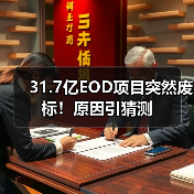 31.7亿EOD项目突然废标!原因引猜测(图3) 31.7亿EOD项目突然废标!原因引猜测(图3)