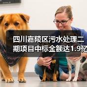 四川嘉陵区污水处理二期项目中标金额达1.9亿！17座污水处理厂改造升级（图2）