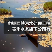 中标西峡污水处理工程,贵州水务旗下公司有何布局?(图1) 中标西峡污水处理工程,贵州水务旗下公司有何布局?(图1)