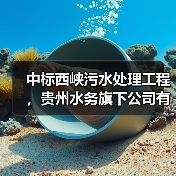 中标西峡污水处理工程,贵州水务旗下公司有何布局?(图4) 中标西峡污水处理工程,贵州水务旗下公司有何布局?(图4)