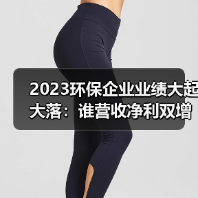 2023环保企业业绩大起大落:谁营收净利双增?(图4) 2023环保企业业绩大起大落:谁营收净利双增?(图4)