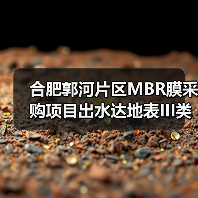 合肥郭河片区MBR膜采购项目出水达地表III类（图2）