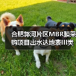 合肥郭河片区MBR膜采购项目出水达地表III类（图1）