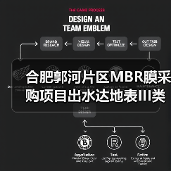合肥郭河片区MBR膜采购项目出水达地表III类（图4）