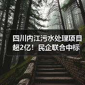 四川内江污水处理项目超2亿！民企联合中标设计施工总承包（图3）
