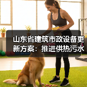 山东省建筑市政设备更新方案：推进供热污水处理环卫设施升级（图3）