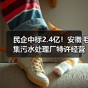 民企中标2.4亿！安徽毛集污水处理厂特许经营项目启动（图4）