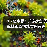 1.7亿中标！广东大沙河流域市政污水管网完善工程Ⅱ标段（图1）