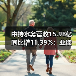 中持水务营收15.98亿同比增11.39%：业绩增长背后的驱动力分析（图2）