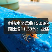 中持水务营收15.98亿同比增11.39%：业绩增长背后的驱动力分析（图1）