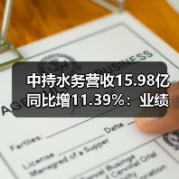 中持水务营收15.98亿同比增11.39%：业绩增长背后的驱动力分析（图3）
