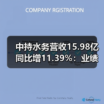 中持水务营收15.98亿同比增11.39%：业绩增长背后的驱动力分析（图4）