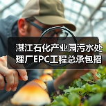 湛江石化产业园污水处理厂EPC工程总承包招标2.5亿（图1）