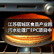 江苏宿城区食品产业园污水处理厂EPC项目中标信息曝光（图2）