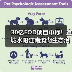 30亿EOD项目中标！宣城水阳江南漪湖生态治理与乡村振兴融合发展（图1）