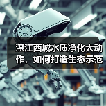 湛江西城水质净化大动作，如何打造生态示范区？（图2）