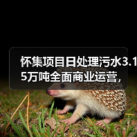 怀集项目日处理污水3.15万吨全面商业运营，生态效益显著（图3）