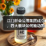 江门新会公用集团成立，四大板块如何推动国资国企高质量发展？（图3）