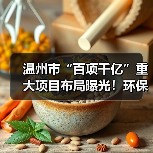 温州市“百项千亿”重大项目布局曝光！环保与交通工程全面提速（图1）
