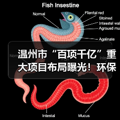 温州市“百项千亿”重大项目布局曝光！环保与交通工程全面提速（图4）
