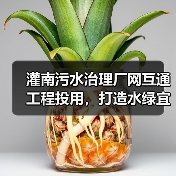 灌南污水治理厂网互通工程投用,打造水绿宜居生态新城(图2) 灌南污水治理厂网互通工程投用,打造水绿宜居生态新城(图2)