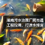 灌南污水治理厂网互通工程投用,打造水绿宜居生态新城(图1) 灌南污水治理厂网互通工程投用,打造水绿宜居生态新城(图1)
