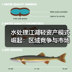 水处理江湖轻资产模式崛起：区域竞争与市场变化的双重驱动（图3）