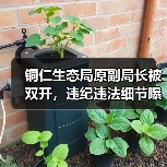 铜仁生态局原副局长被双开,违纪违法细节曝光(图3) 铜仁生态局原副局长被双开,违纪违法细节曝光(图3)