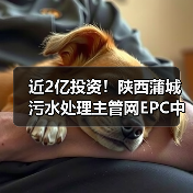 近2亿投资!陕西蒲城污水处理主管网EPC中标结果揭晓(图3) 近2亿投资!陕西蒲城污水处理主管网EPC中标结果揭晓(图3)