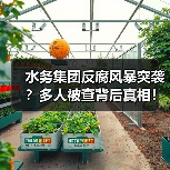 水务集团反腐风暴突袭?多人被查背后真相!(图1) 水务集团反腐风暴突袭?多人被查背后真相!(图1)