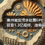 贵州瓮安污水处理EPC项目1.3亿招标，谁将中标？（图1）