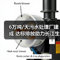 6万吨/天污水处理厂建成 达标排放助力长江生态保护(图3) 6万吨/天污水处理厂建成 达标排放助力长江生态保护(图3)